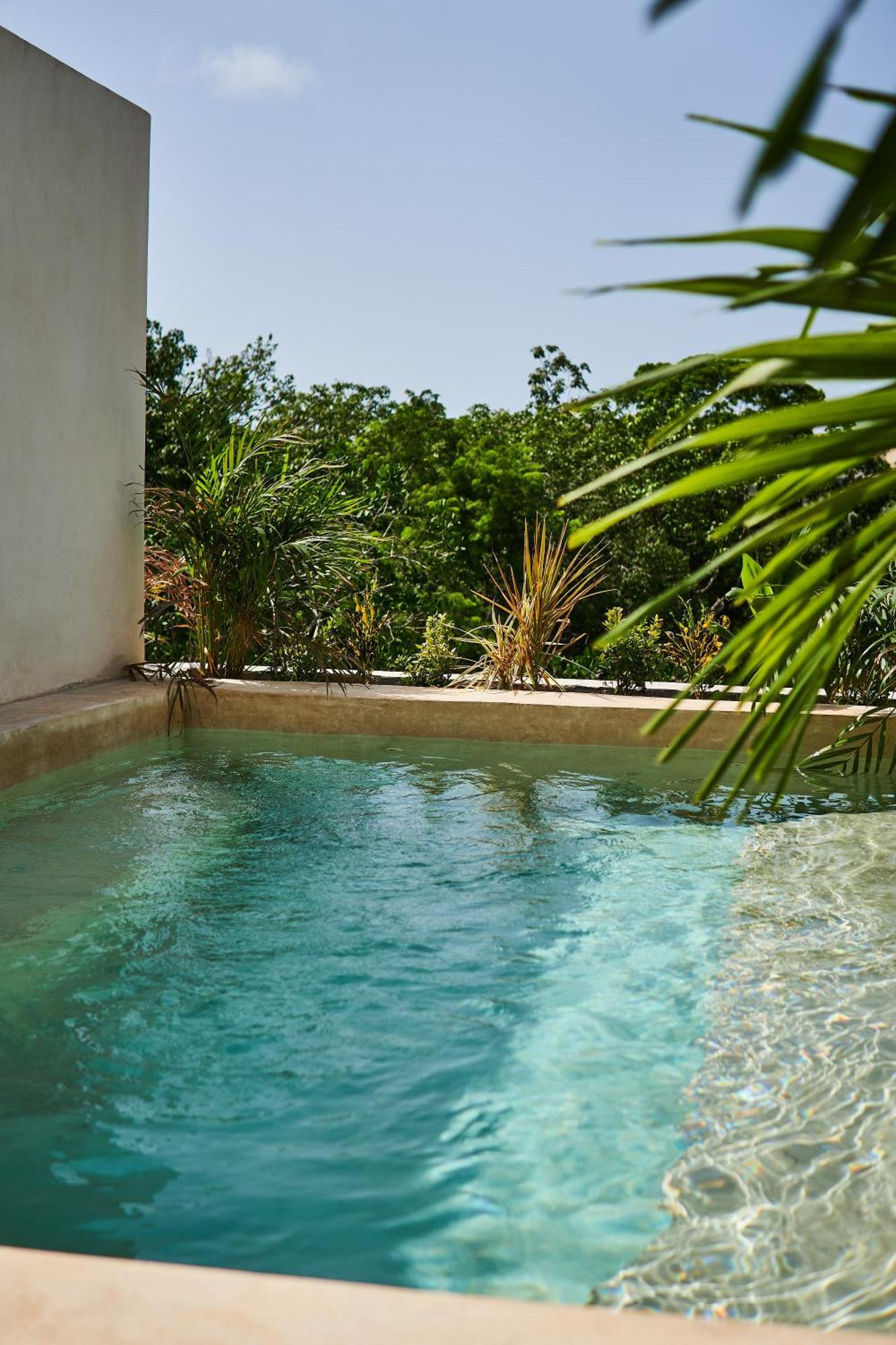 Spacious & Comfy Penthouse Oasis With Plunge Pool Τουλούμ Εξωτερικό φωτογραφία